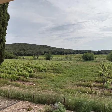 La Des Vignes * Castillon-du-Gard