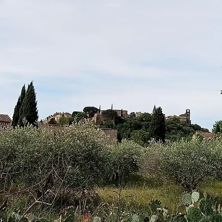 Villa La Des Vignes Castillon-du-Gard