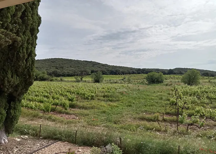 La Des Vignes * Castillon-du-Gard